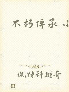 不朽传承 小说