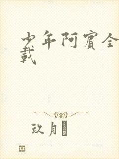 少年阿宾全集下载封面
