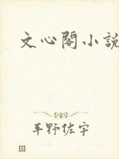 文心阁小说封面