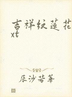 吉祥纹莲花楼txt
