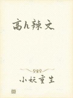 高h辣文
