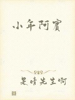小年阿宾封面