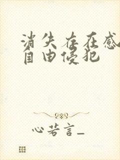 消失存在感消失自由侵犯封面