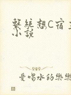 系统想C宿主的小说