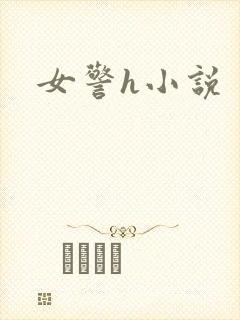 女警h小说封面
