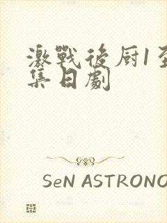激战后厨1至5集日剧