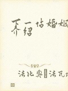 下一站婚姻剧情介绍