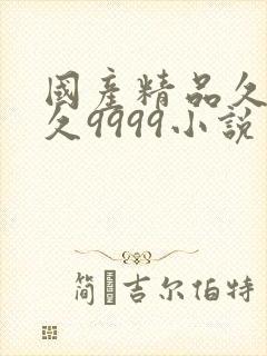 国产精品久久久久9999小说封面