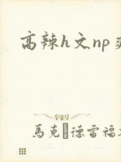 高辣h文np爽