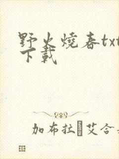 野火烧春txt下载