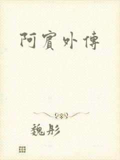 阿宾外传