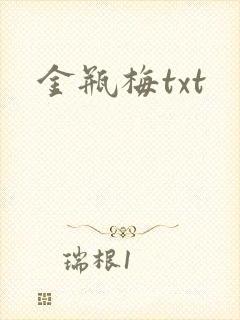 金瓶梅txt封面