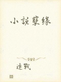 小说孽缘