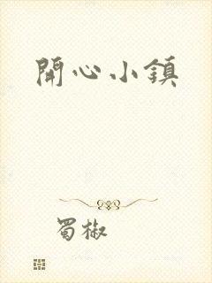开心小镇封面