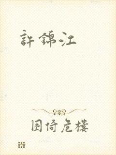 许锦江封面