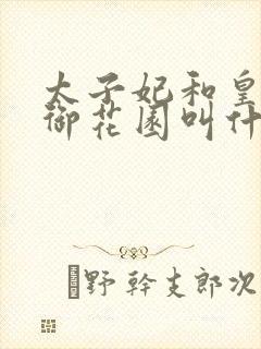 太子妃和皇帝在御花园叫什么小说