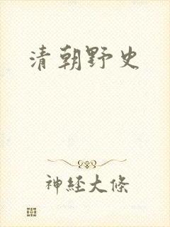 清朝野史封面
