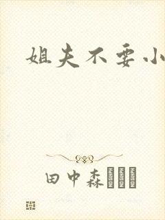 姐夫不要小说