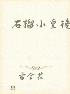 石榴小皇后封面