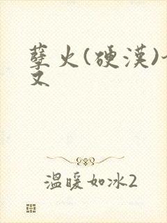 孽火(硬汉)今又封面