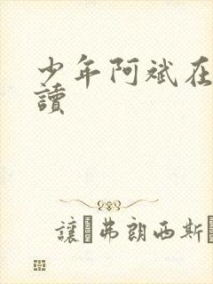 少年阿斌在线阅读封面