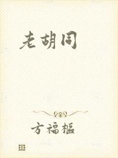 老胡同