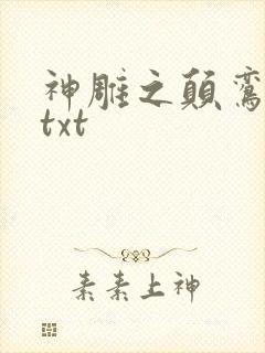 神雕之颠鸾倒凤txt封面