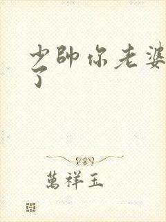 少帅你老婆又跑了