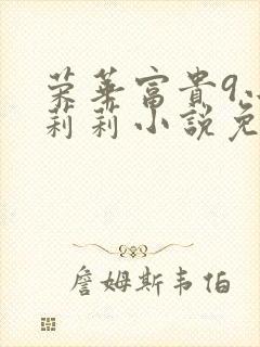荣华富贵9小王莉莉小说免费阅读封面