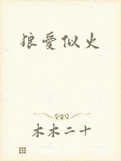 狼爱似火封面