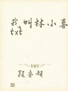 我叫林小喜小说txt