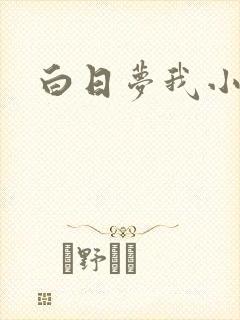 白日梦我小说