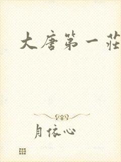 大唐第一庄