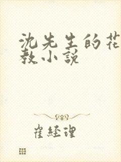 沈先生的花式管教小说