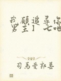 我愿追寻你【双男主】 七吔