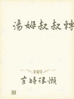 汤姆叔叔转接口