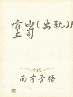 偷吃(出轨)h上司