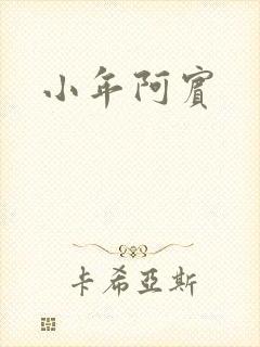 小年阿宾