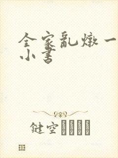 全家乱炖一锅烩小书