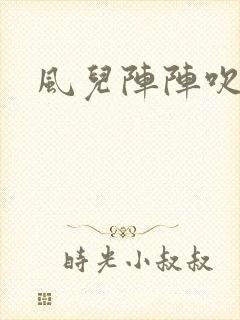 风儿阵阵吹封面