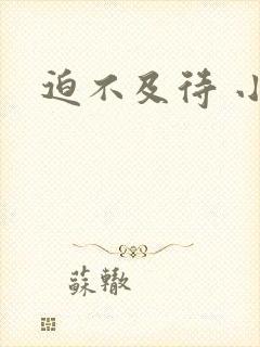 迫不及待 小穴