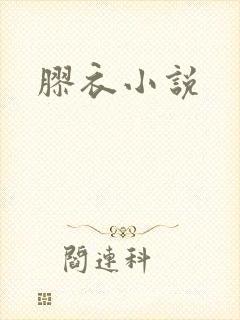 胶衣小说封面