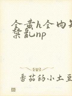 全黄h全肉短篇禁乱np封面