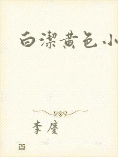白洁黄色小说