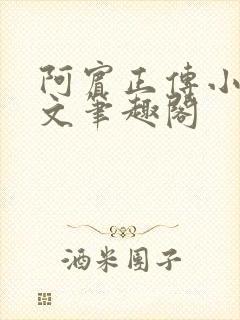 阿宾正传小说全文笔趣阁