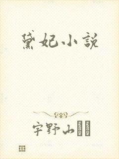 黛妃小说