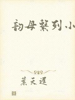 韵母系列小说