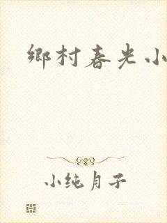 乡村春光小说封面