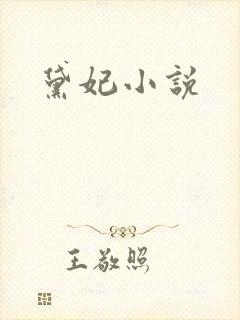 黛妃小说