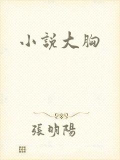 小说大胸封面